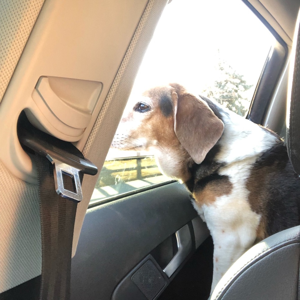 Meet your Posher, Deb